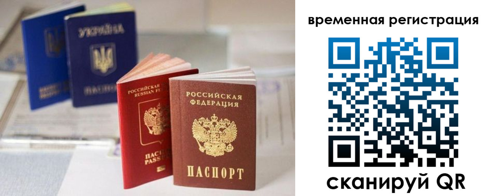 прописка поиск в Елабуге